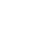 21 (1)